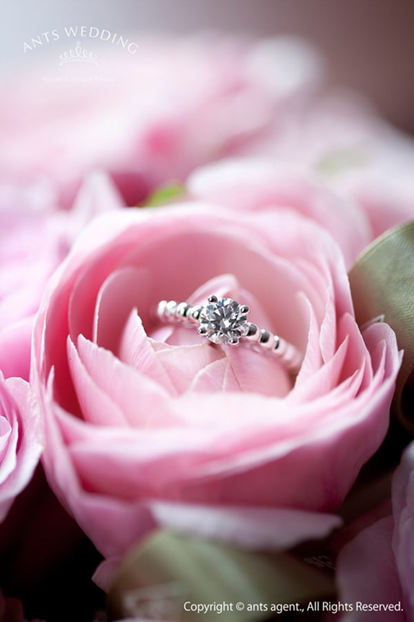 このアルバムを見る