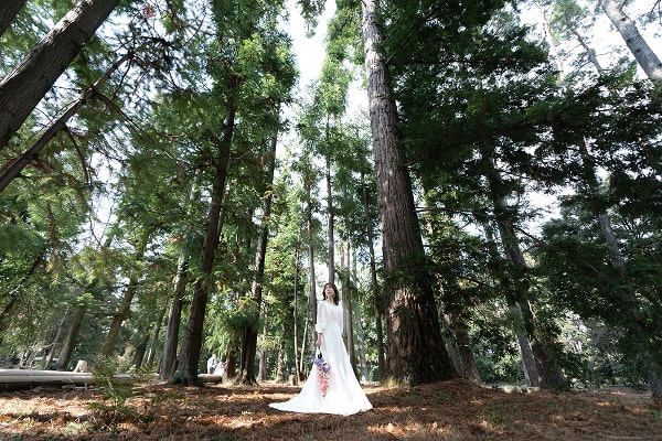 このアルバムを見る