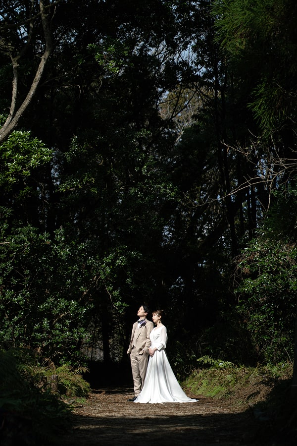 このアルバムを見る