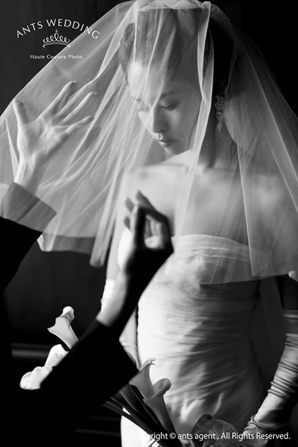 このアルバムを見る