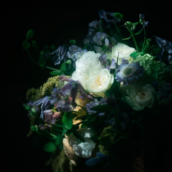 このアルバムを見る