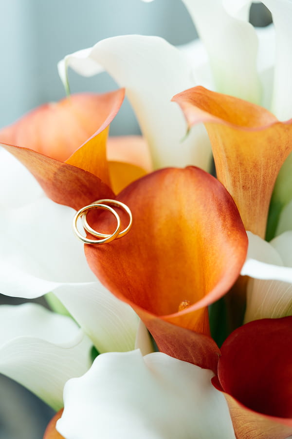 このアルバムを見る