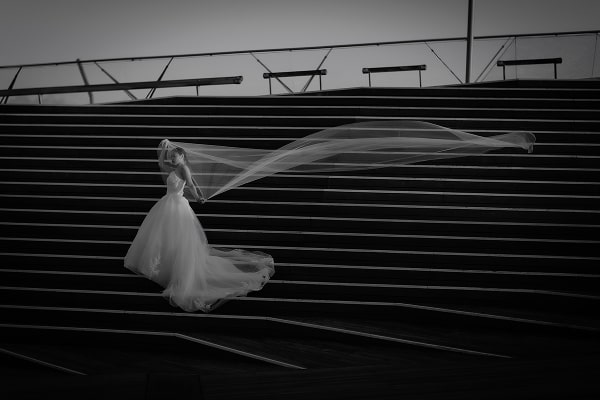 このアルバムを見る