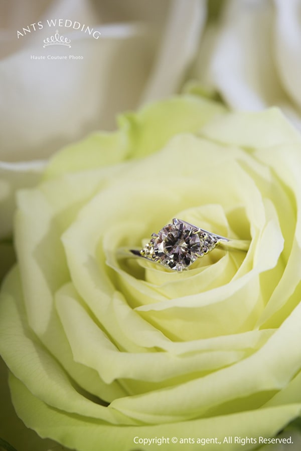 このアルバムを見る