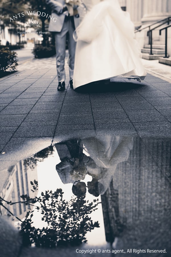 このアルバムを見る