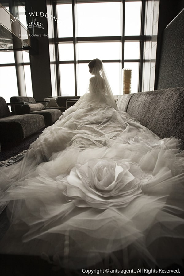 このアルバムを見る